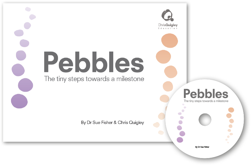 Pebbles The Tiny Steps Towards A Milestone - Cd (1316x592), Png Download