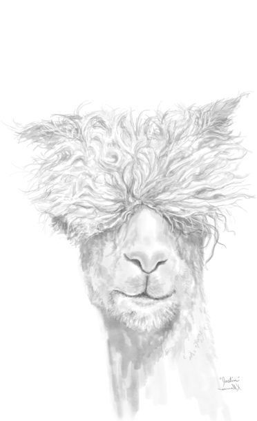 Bleed Area May Not Be Visible - Sketch (525x700), Png Download
