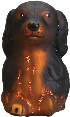 Long Haired Dachshund Old - Dachshund (950x950), Png Download