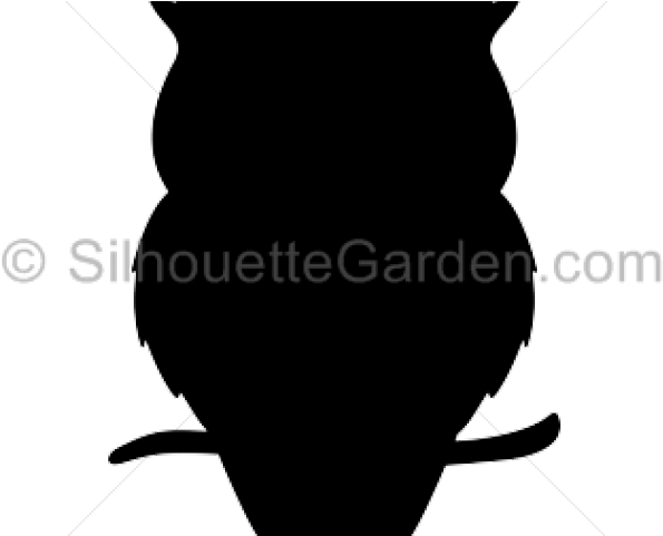 Silhouette Clipart Owl - Illustration (640x480), Png Download