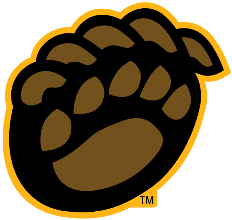 Baylor Bears Iron On Stickers And Peel-off Decals - Baylor Bear Claw Logo (750x930), Png Download