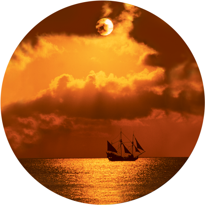 More Views - Circle (800x800), Png Download