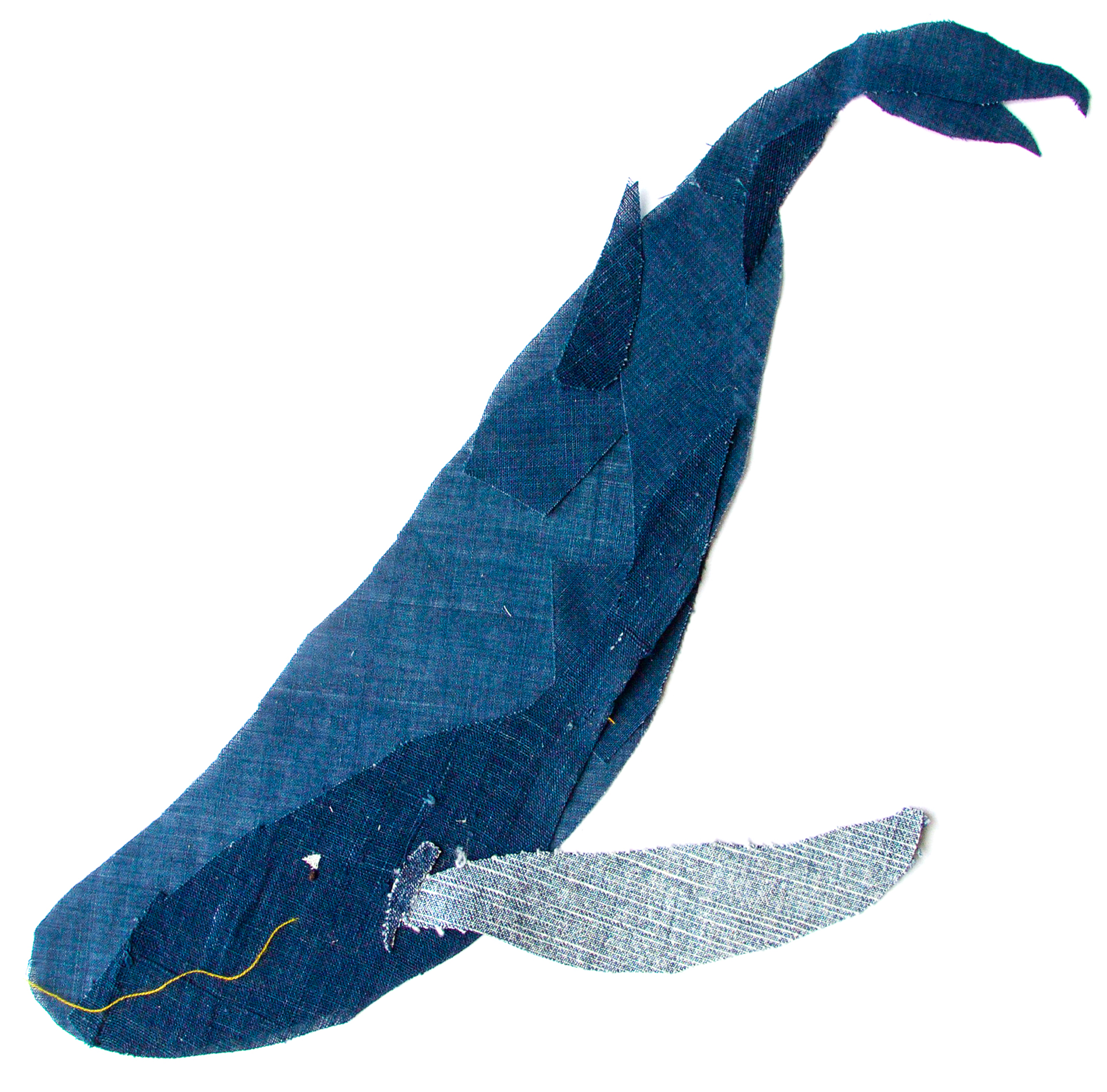 Humpback Whale (2480x3508), Png Download