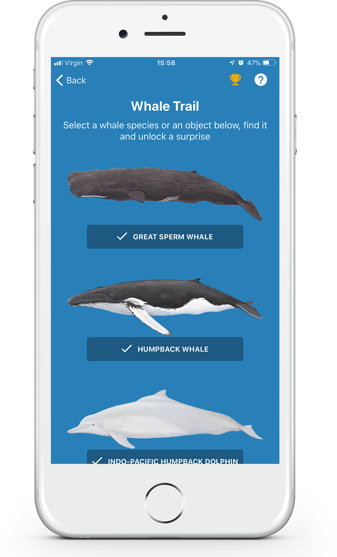 Whale Trail Whale Selector Screen With Trophy Icon - Squaliformes (1106x1825), Png Download