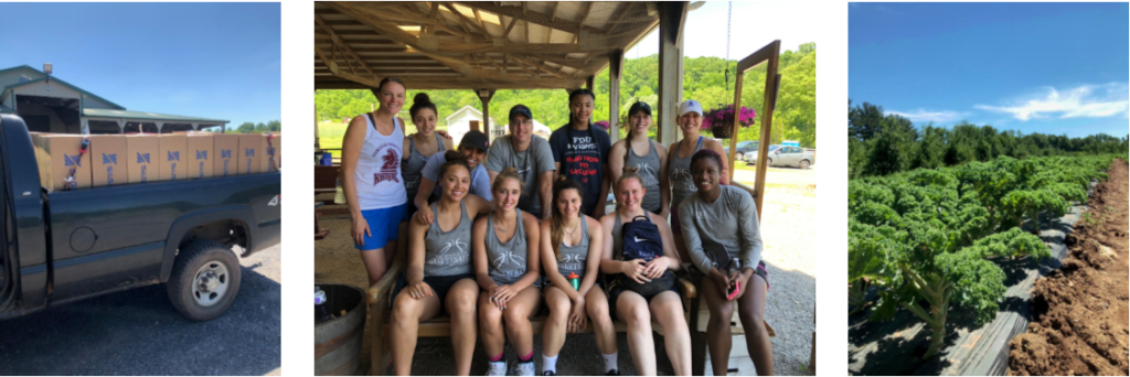 Growing Leafy Greens For Donation Is Something Relatively - Youth (1024x342), Png Download