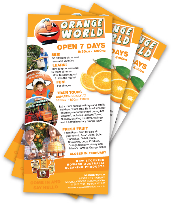 Graphic Design Web Development Services - Flyer (644x759), Png Download