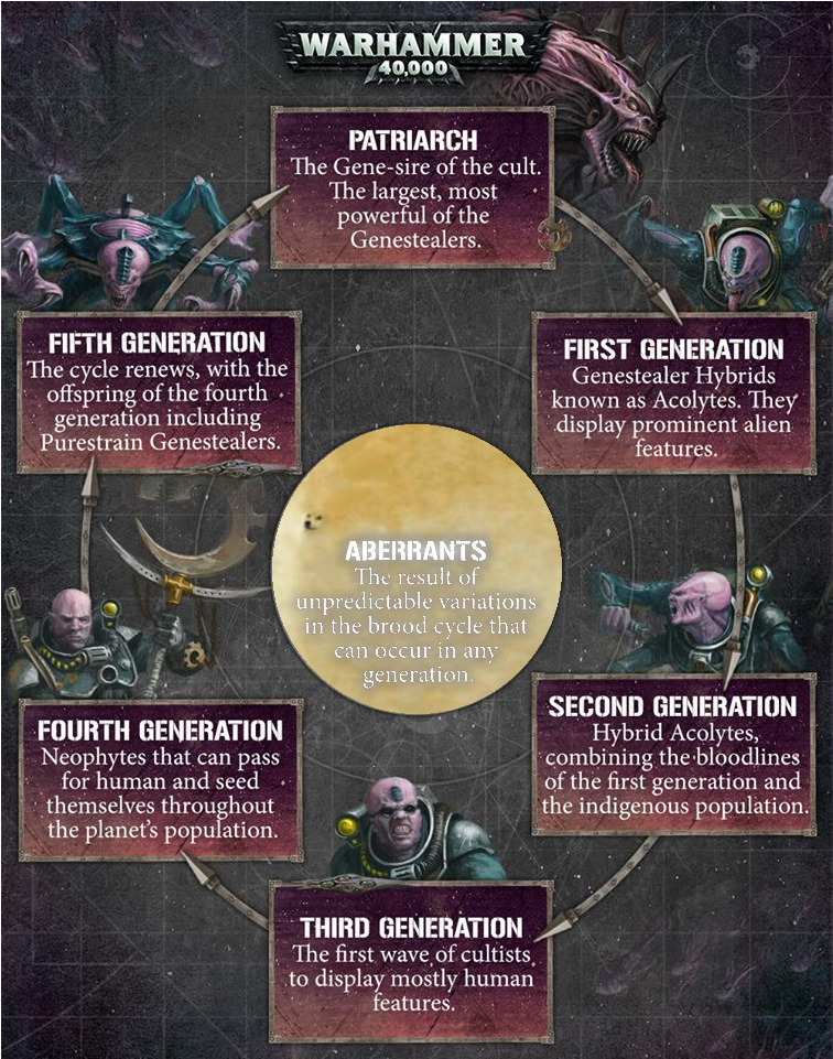 The Philosopher's Meme - Warhammer 40k (960x960), Png Download