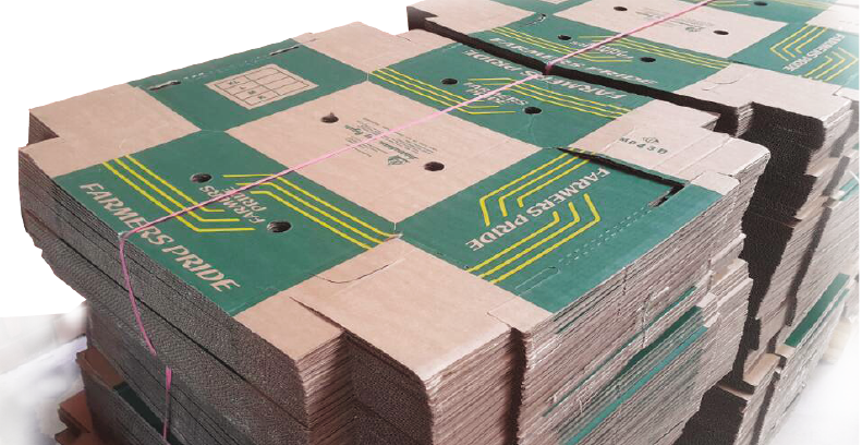 Home / Packaging Materials / Green Pepper Boxes - Hardwood (791x408), Png Download