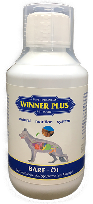 Winner Plus (667x667), Png Download