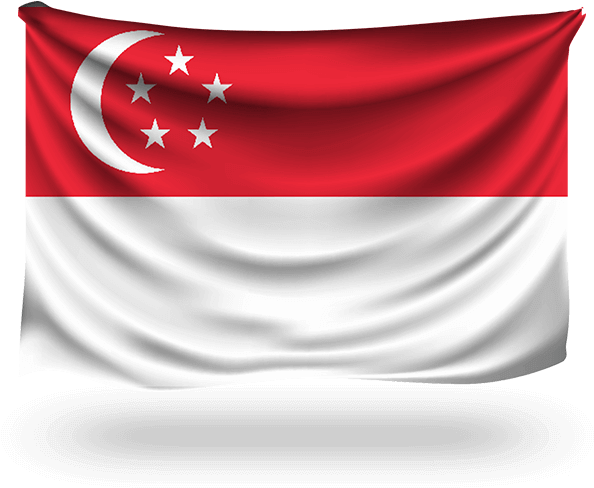 Avoid Illegitimate Online Surveillance - Flag (650x500), Png Download