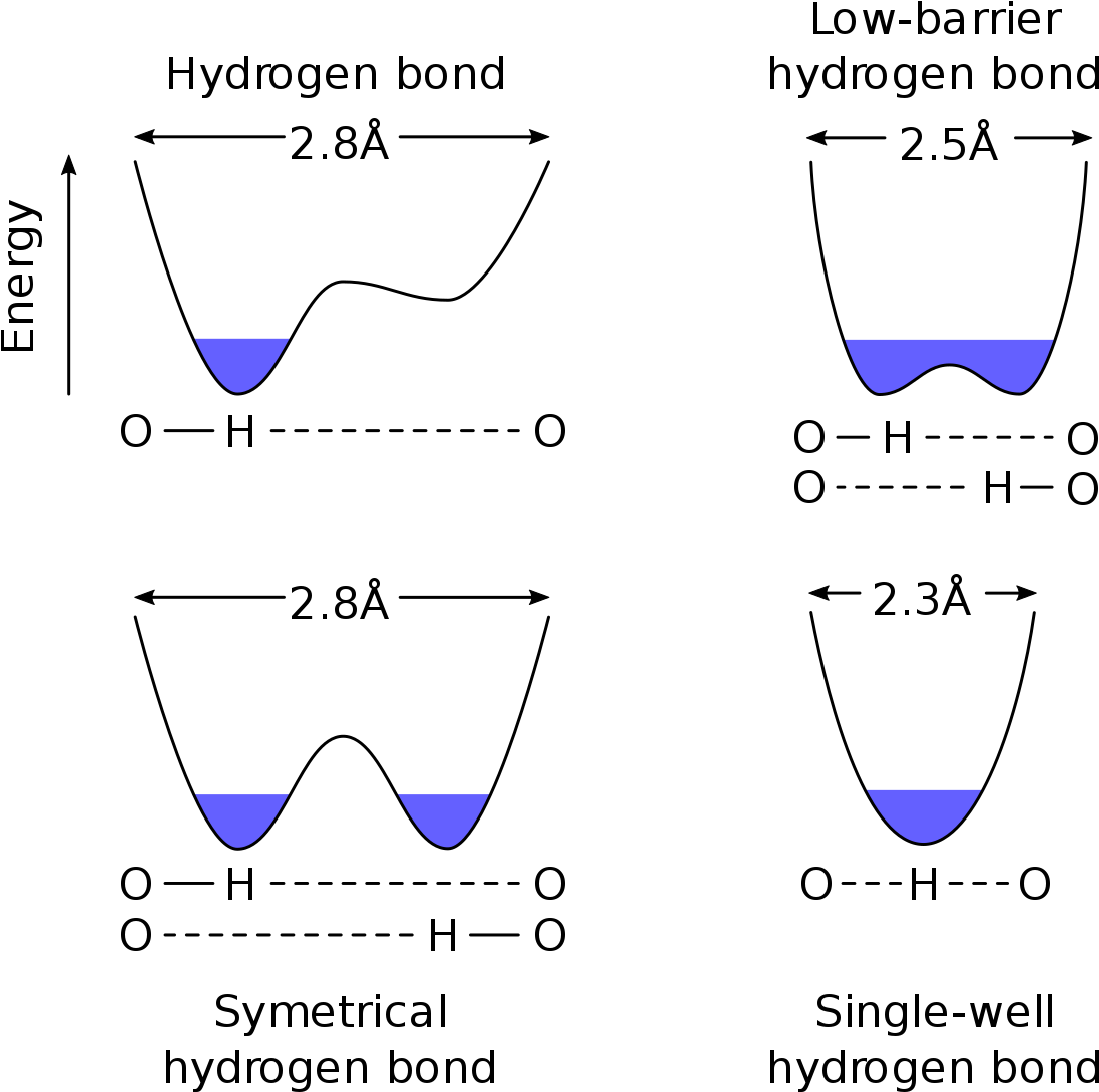 Diagram (1200x1189), Png Download