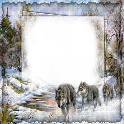 Winter Forest Wolf Frame Cadre Hiver Loup - Png De Frames Nature Beautiful (400x400), Png Download