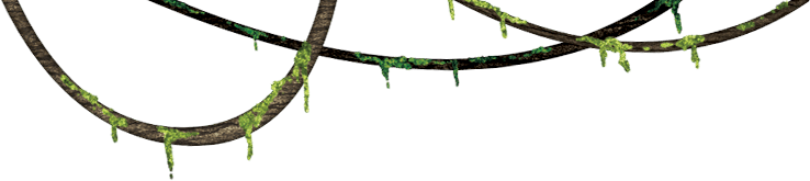 Jungle Vines Png - Jungle Png (738x165), Png Download