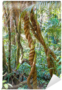 Rurrenabaque (400x400), Png Download