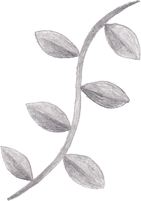 Tree Vines Clipart - Sketch (449x641), Png Download