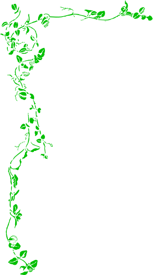 Vine Border Green Clip Art Vector Clip Art Online Royalty - Vinyl Wall Art Decal Sticker #275 Flower Floral Vines (600x562), Png Download