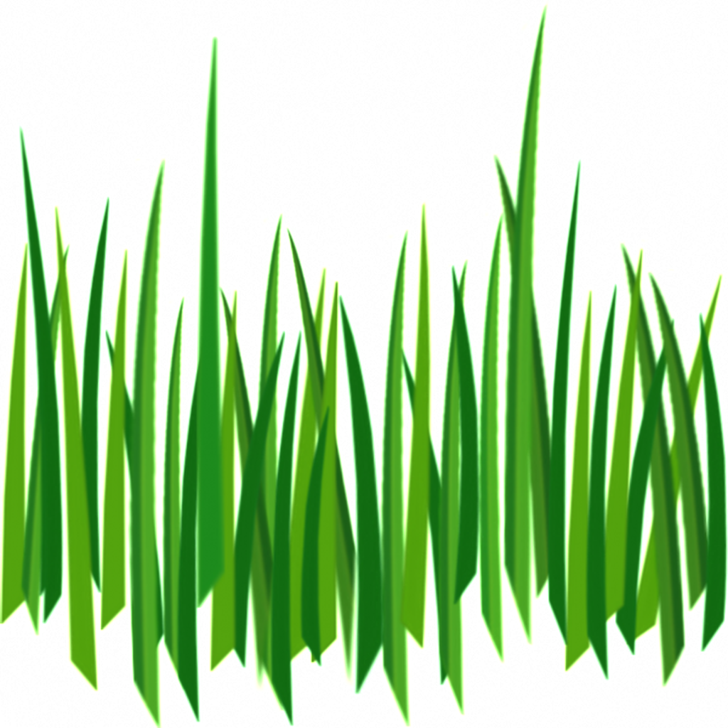 Transparent Ornamental Material For Long Branches And - Cartoon Grass Transparent Background (650x650), Png Download