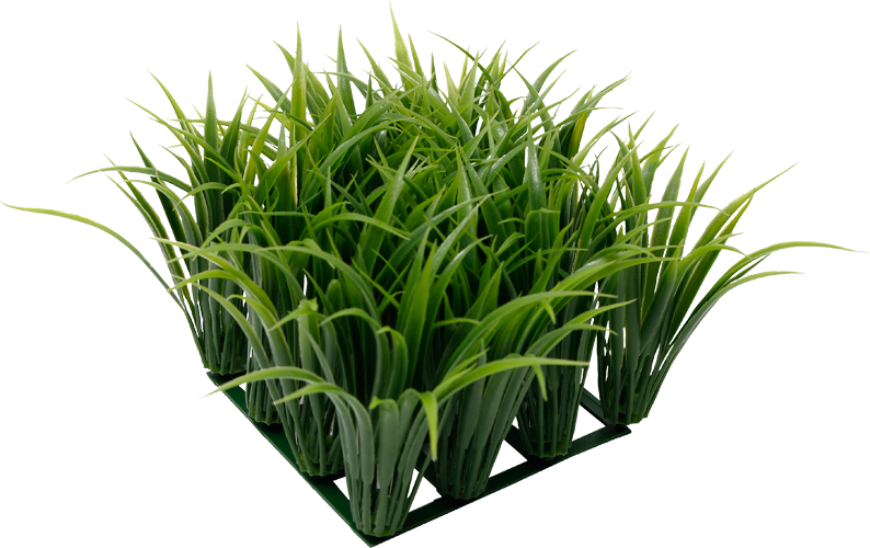 Ornamental Grass Png - Fluval Chi Grass Aquarium Ornament (794x500), Png Download
