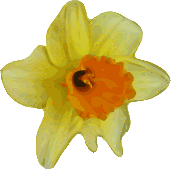 Flower Clip Art Free Vector - Buttercup Png Flower (600x591), Png Download