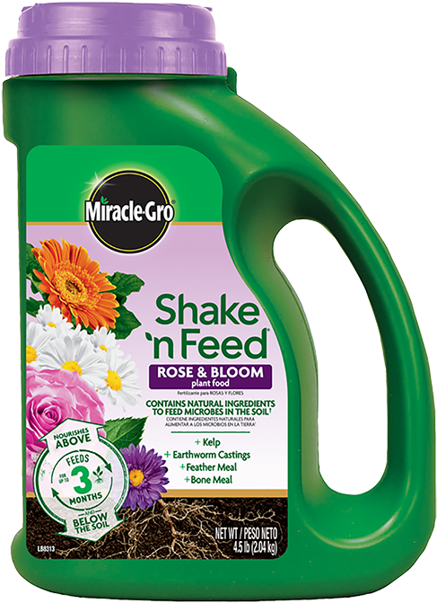 Rose And Bloom Plant Food - Shake And Feed Rose (500x684), Png Download