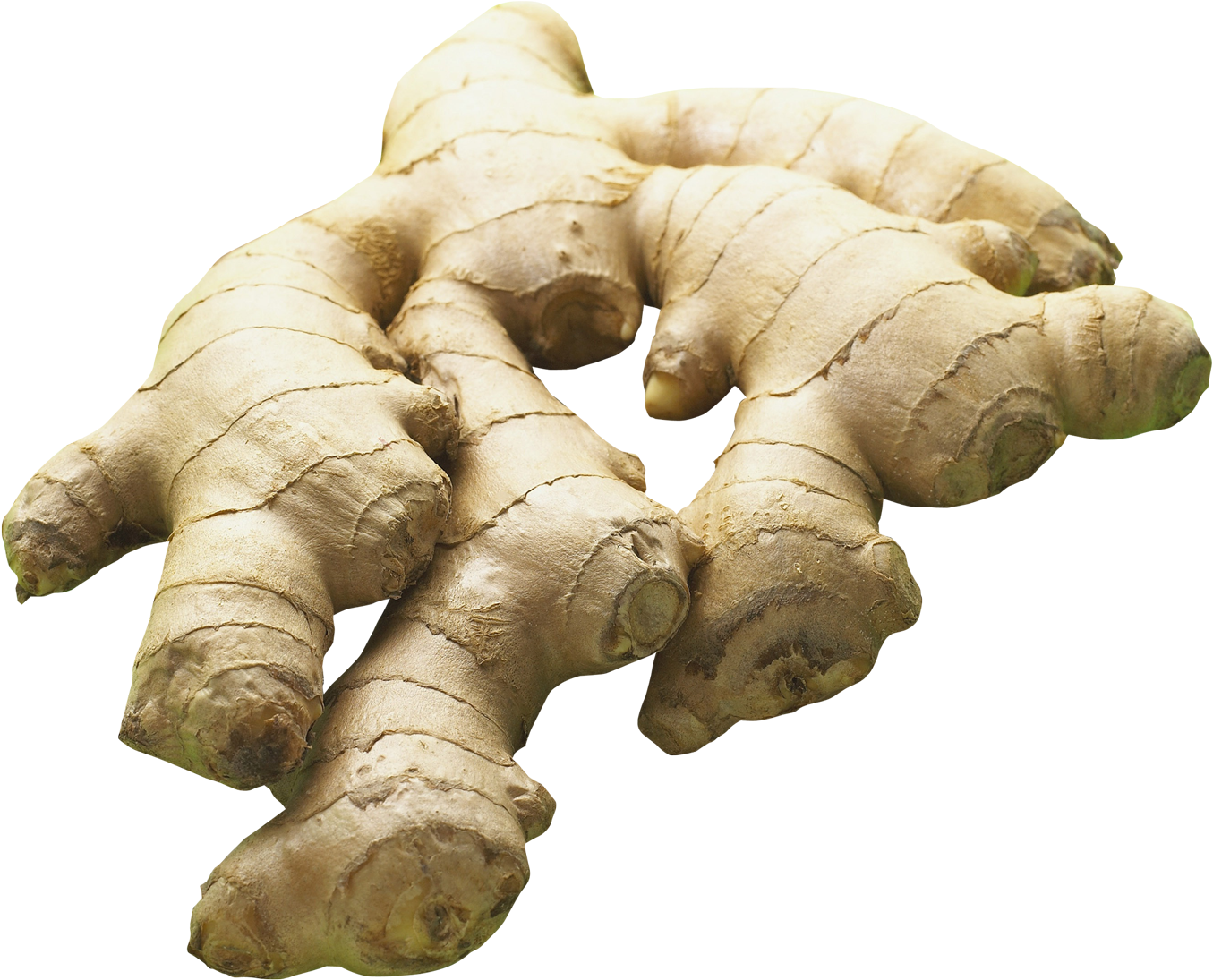 Remedios Caseros Para La Riñitis (1513x1276), Png Download