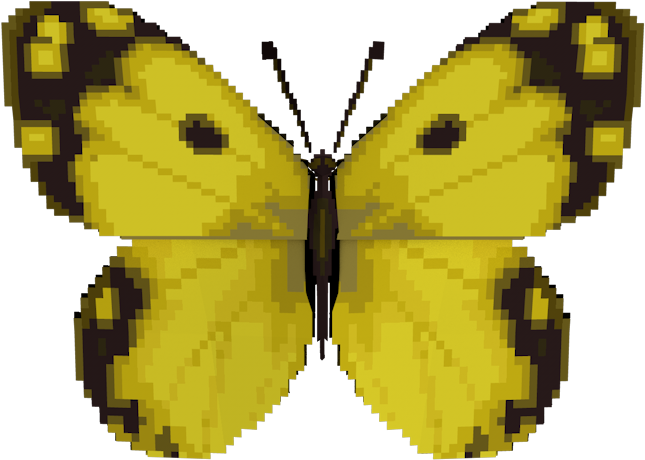Download Zip Archive - Colias Croceus (750x650), Png Download