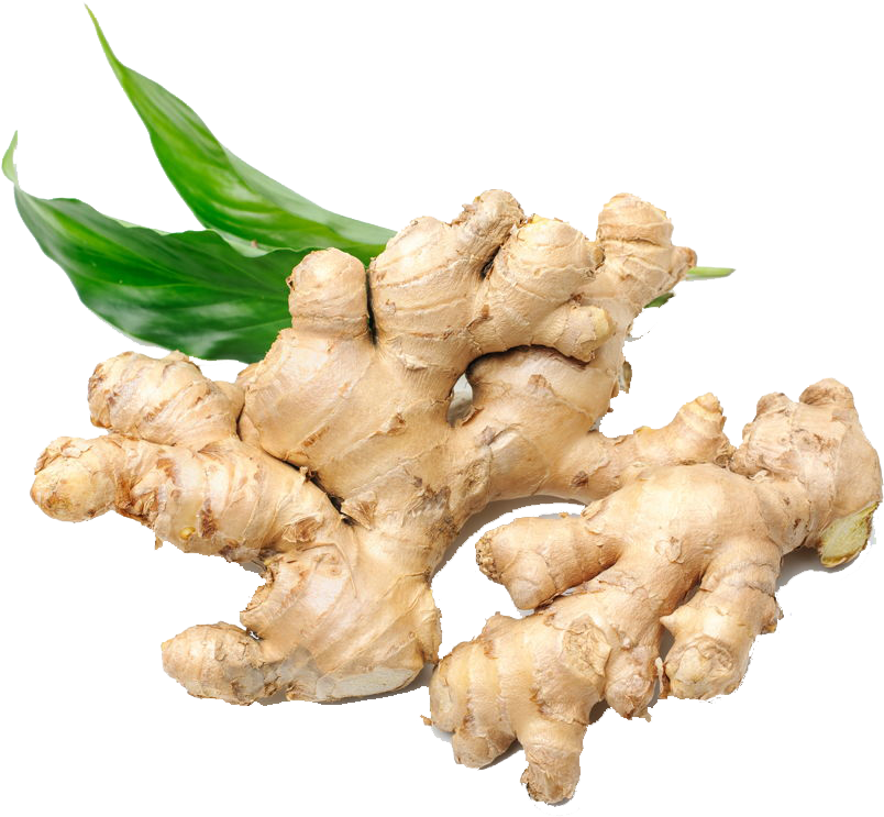 Ginger (1280x853), Png Download