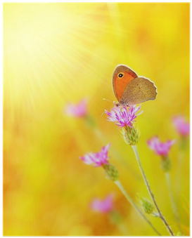 Il Diario Di Rebecca (400x400), Png Download