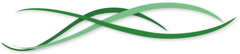 News - News Banners Png (940x220), Png Download