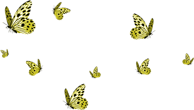 A Place To Grow - Transparent Background Butterflies Png (900x500), Png Download