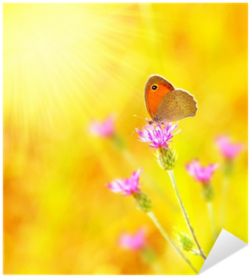 Il Diario Di Rebecca (400x400), Png Download