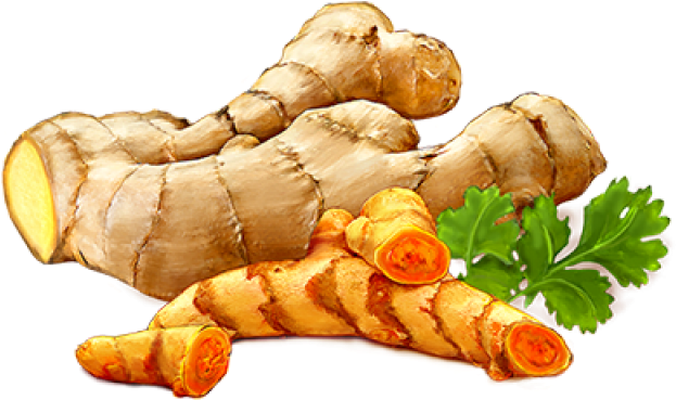 Ginger Png - Ginger Clipart Png (400x400), Png Download