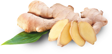 Ginger Puree - Ginger Benefits For Baby (460x379), Png Download
