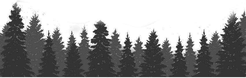 Trees - Forest Trees Black Png (850x270), Png Download