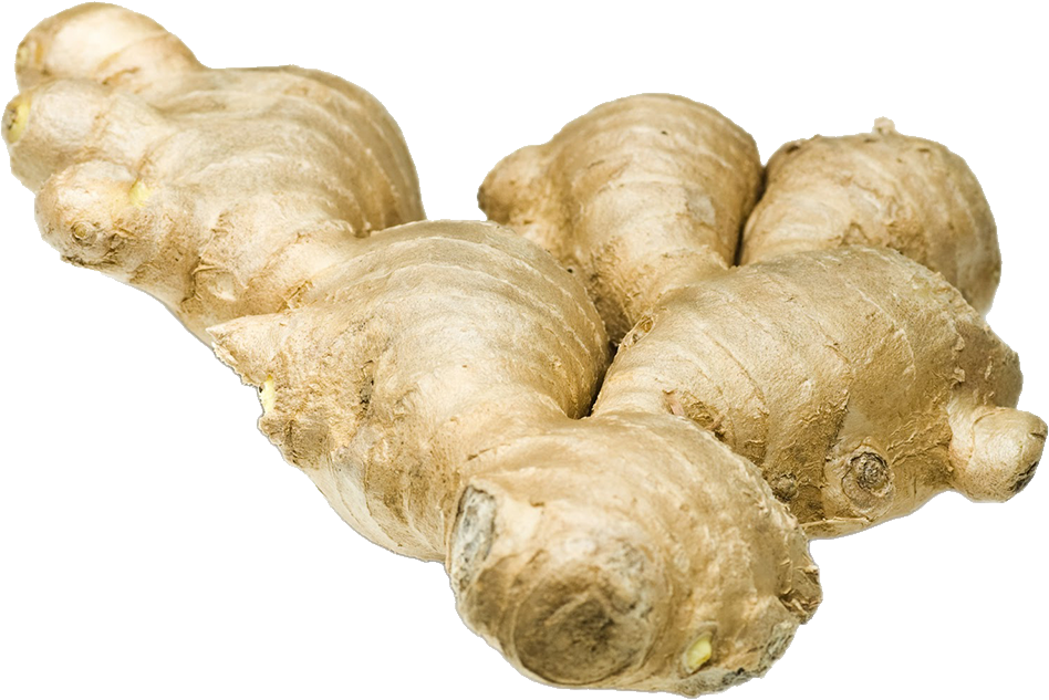 Ginger+galangal+lemon Grass Herbal Tea Aids Digestion, (948x633), Png Download