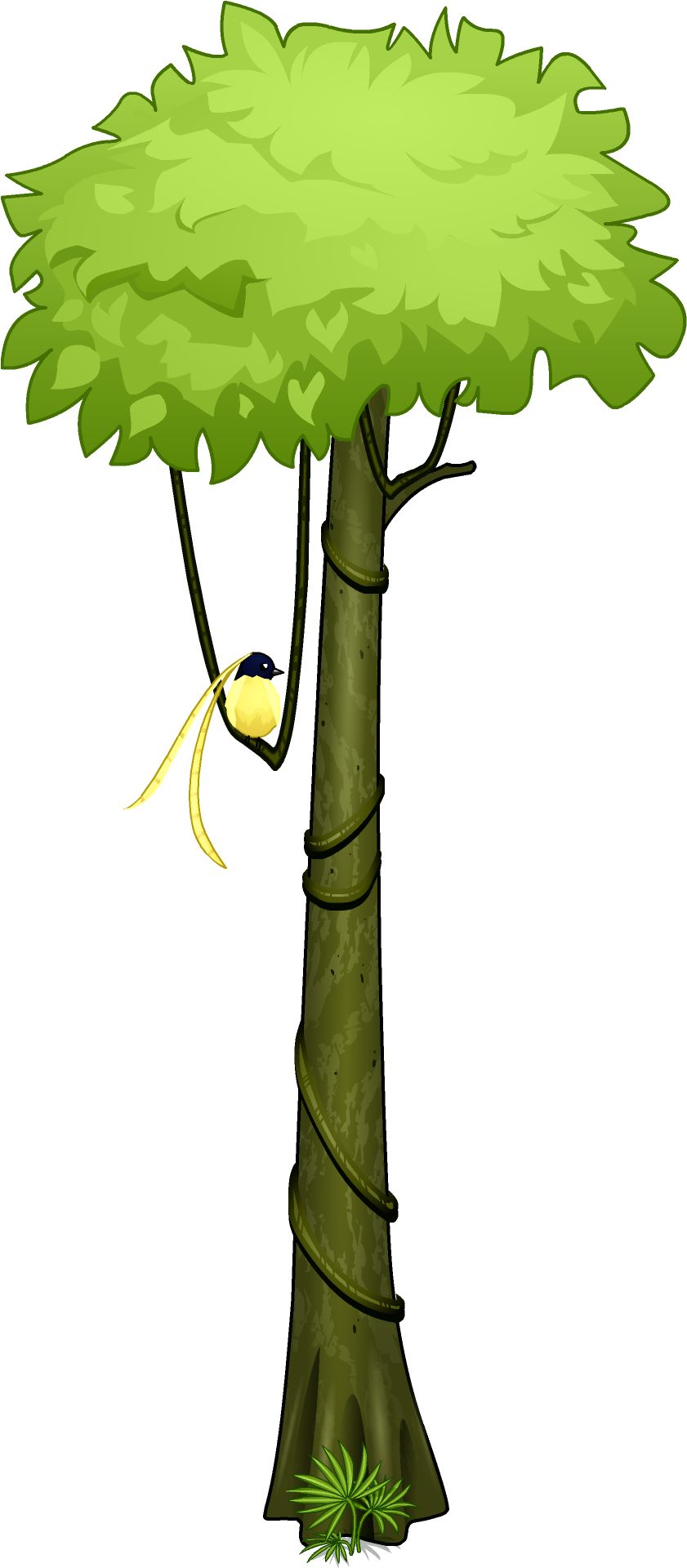 Amazon Rainforest Clipart At Getdrawings - Amazon Rainforest Clipart (1080x1920), Png Download