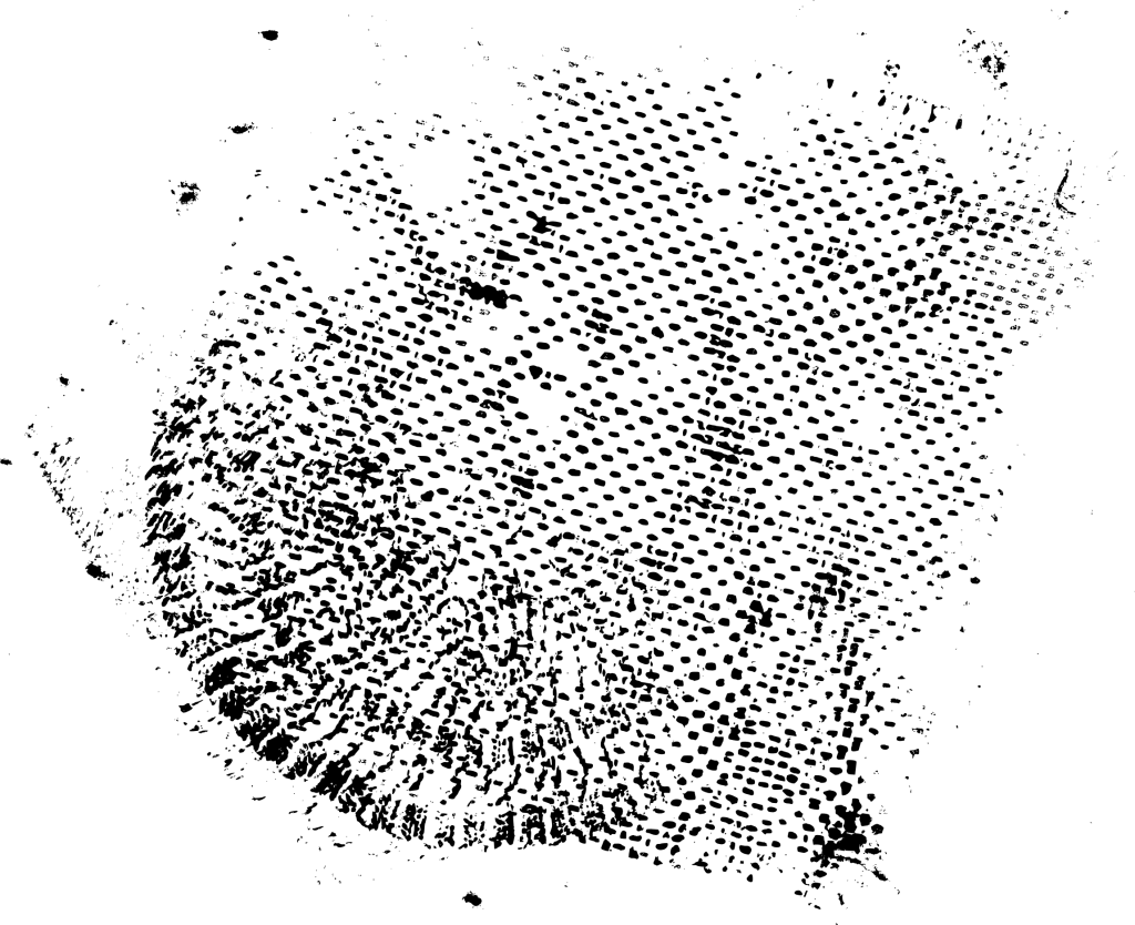 Png Transparent Overlays Png (1024x834), Png Download