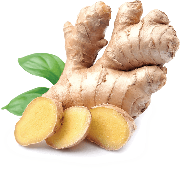 Ginger - Isabella's Clearly Vein, 2 Oz. Natural Alternative. (600x566), Png Download