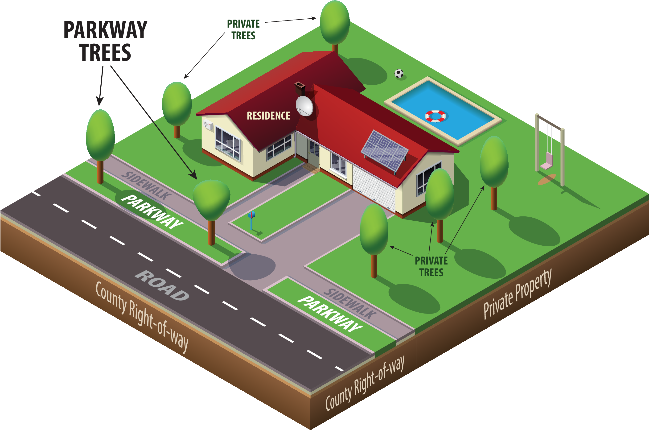 What Is A Parkway Tree - Swimming Pool (3300x2550), Png Download