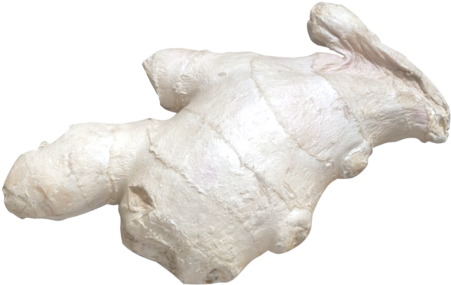 Ginger - Carving (866x650), Png Download