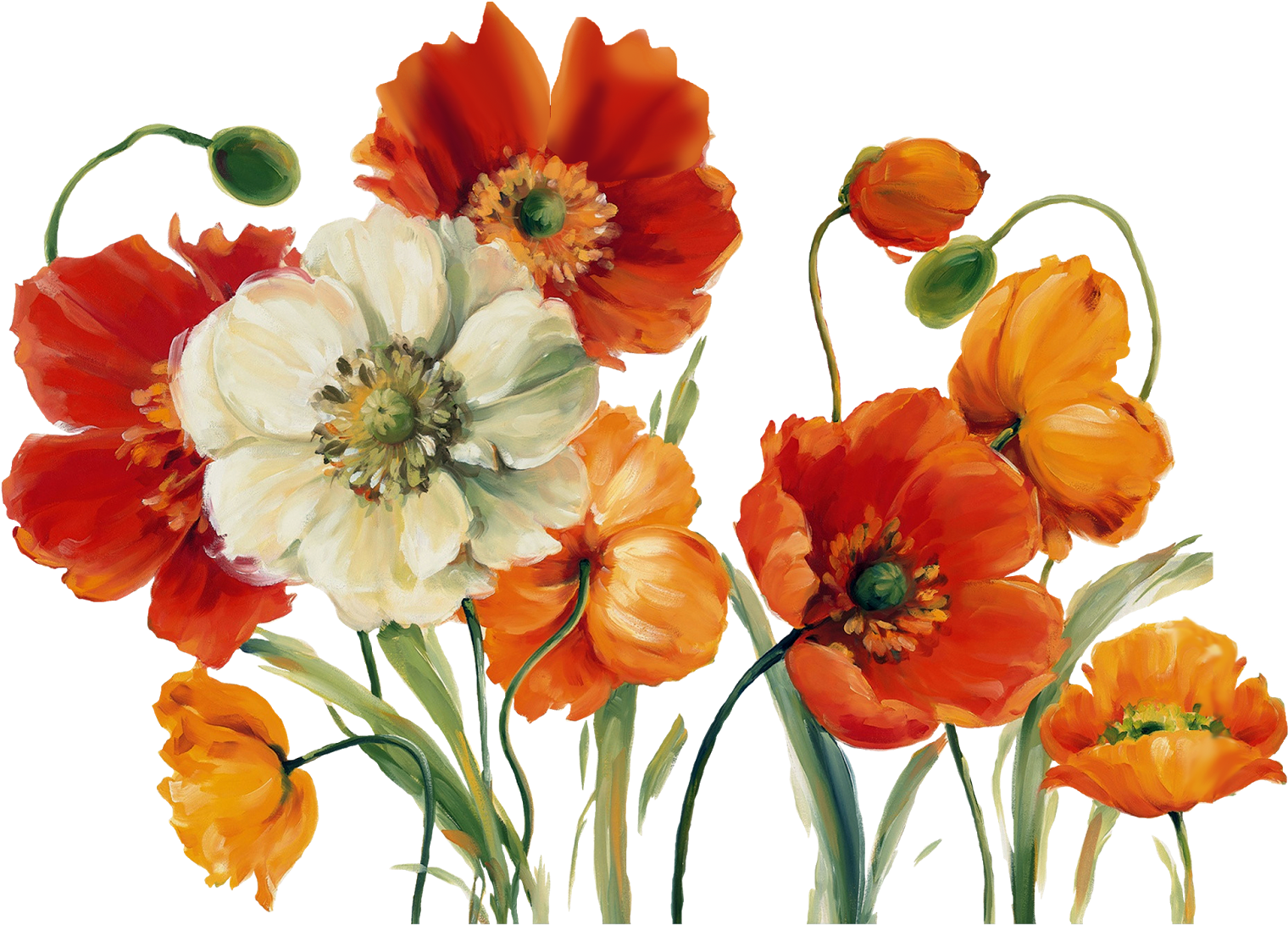 Click On Image To Enlarge - Lisa Audit - Poppies Melody Canvas (1600x1222), Png Download