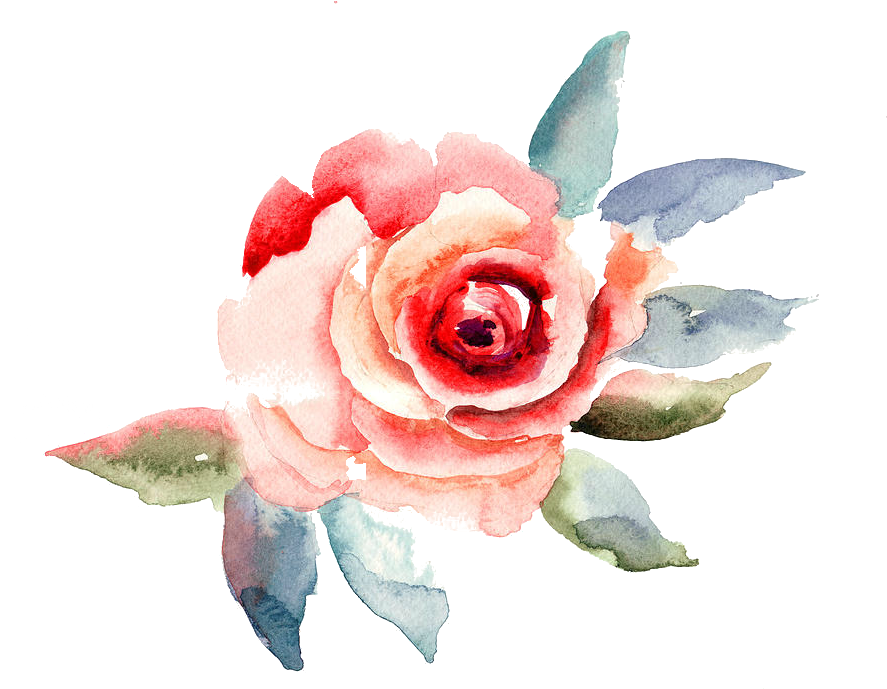 Travelling To Infinity - Rose Flower Illustration (900x738), Png Download