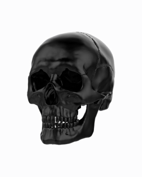 Black Skull Transparent Image - Portable Network Graphics (466x580), Png Download