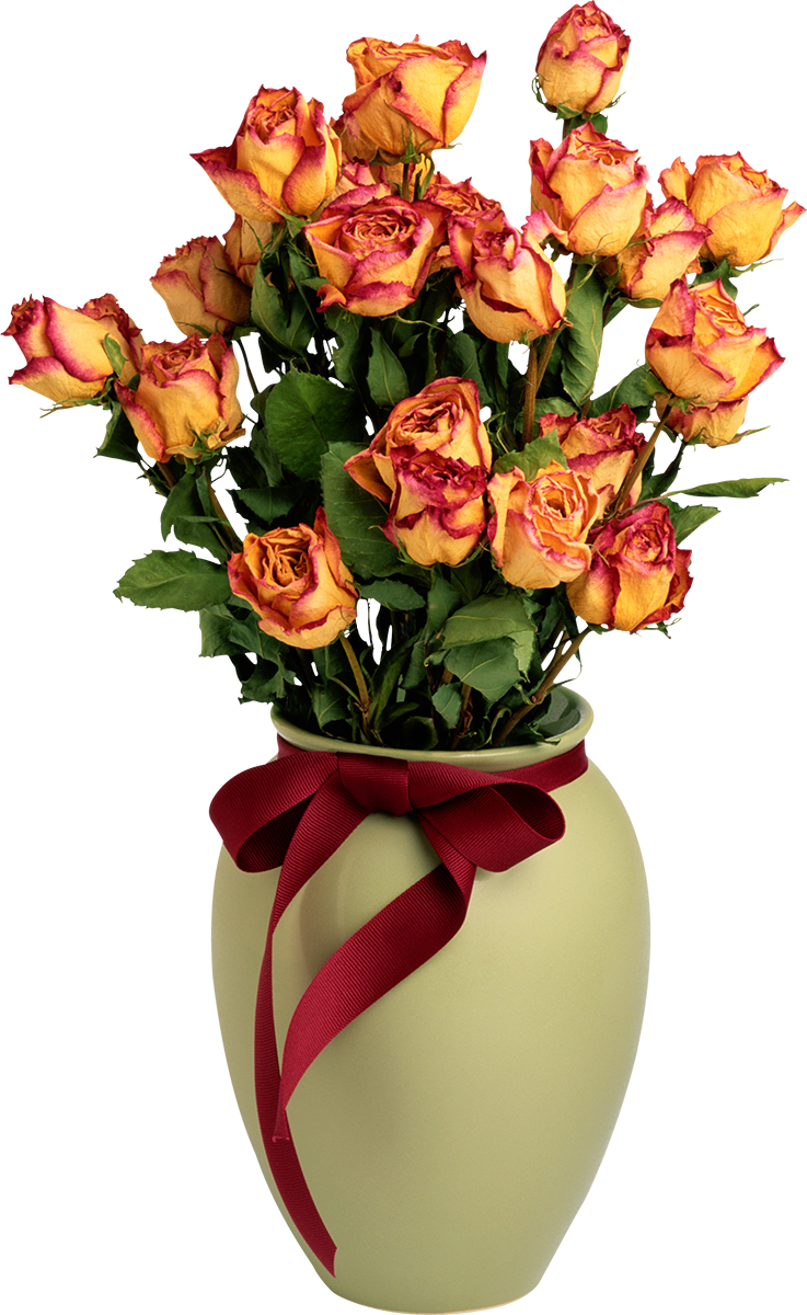 Clip Freeuse Stock Vase Of Flowers Clipart (737x1200), Png Download