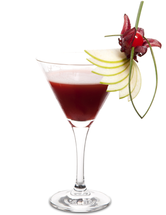 Rose (450x480), Png Download