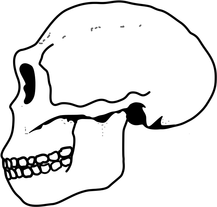 Ergaster Skull - Было Бы Если Ссср Не Распался (821x813), Png Download