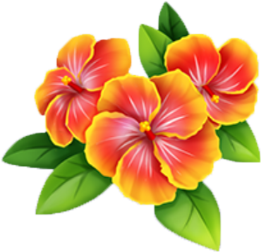 Riviera Flowers - Wiki (435x435), Png Download