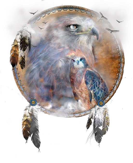 Bleed Area May Not Be Visible - Spirit Of The Hawk (551x700), Png Download