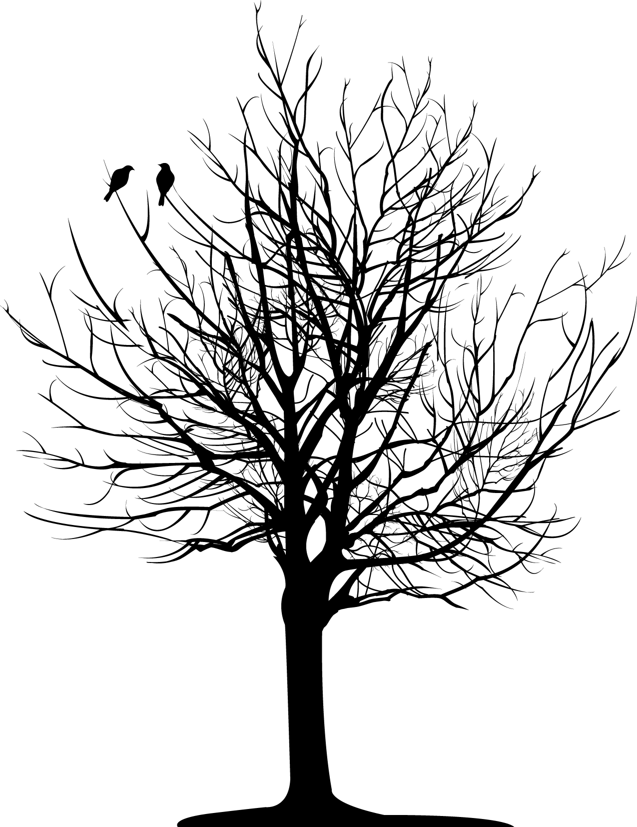 Download Dark Tree - Bare Tree PNG Image with No Background - PNGkey.com