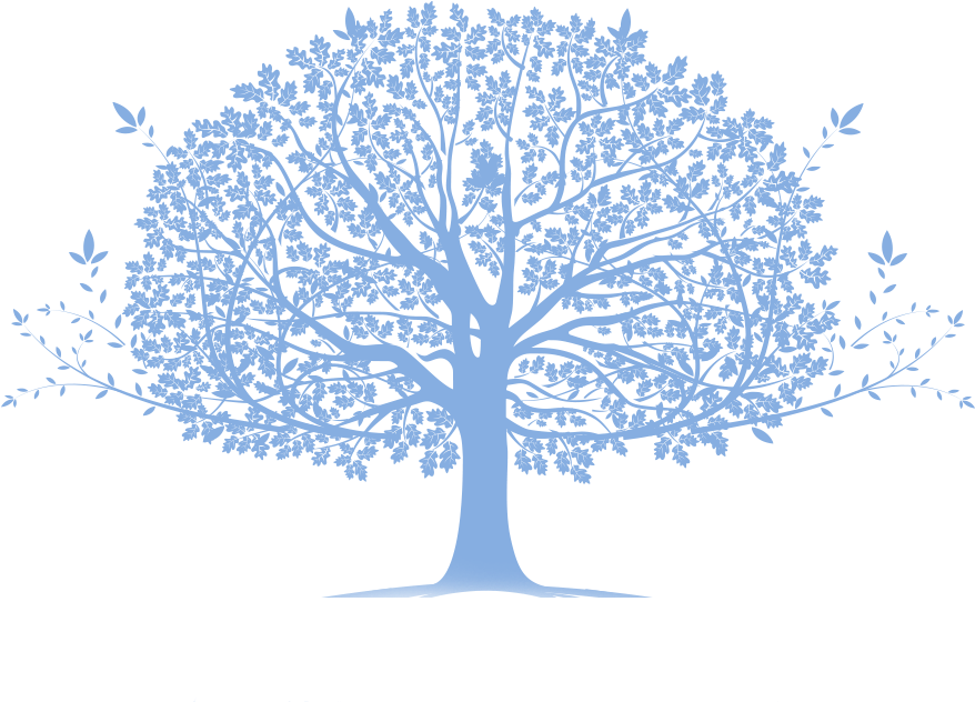 Family Tree Transparent (1012x681), Png Download